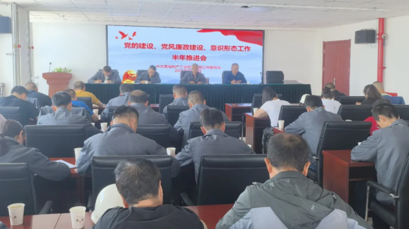工投公司黨委召開黨的建設(shè)、黨風(fēng)廉政建設(shè)、意識形態(tài)工作半年推進會