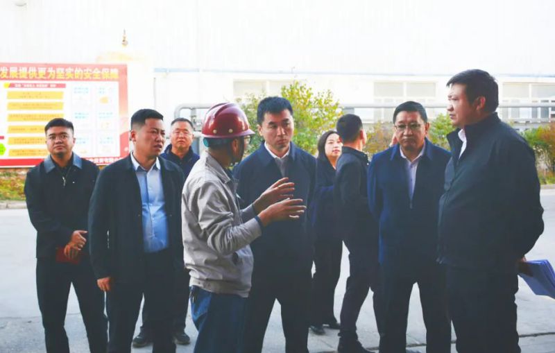 大通縣委副書記、縣長馬明旭一行蒞臨工投公司調(diào)研指導(dǎo)